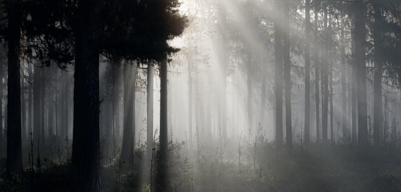 Abraure Camping — photo 2