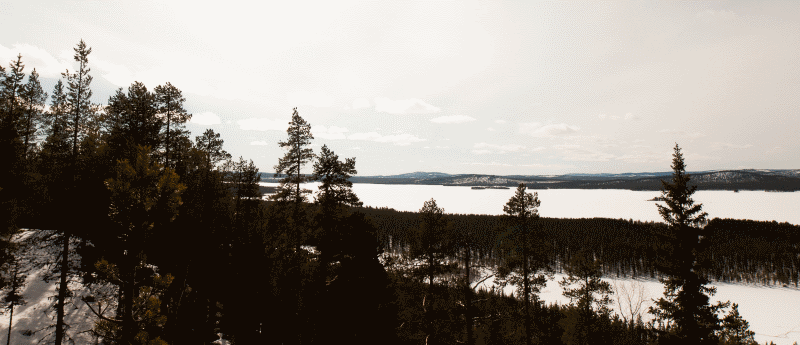 Abraure Camping — photo 3